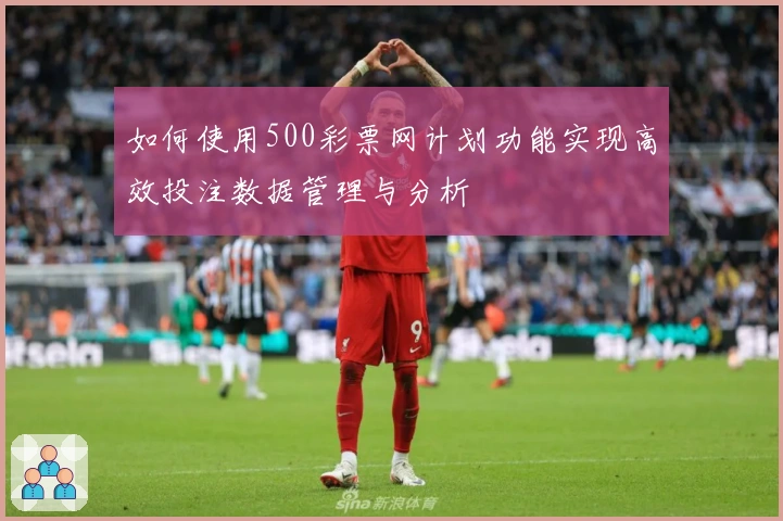 如何使用500彩票网计划功能实现高效投注数据管理与分析
