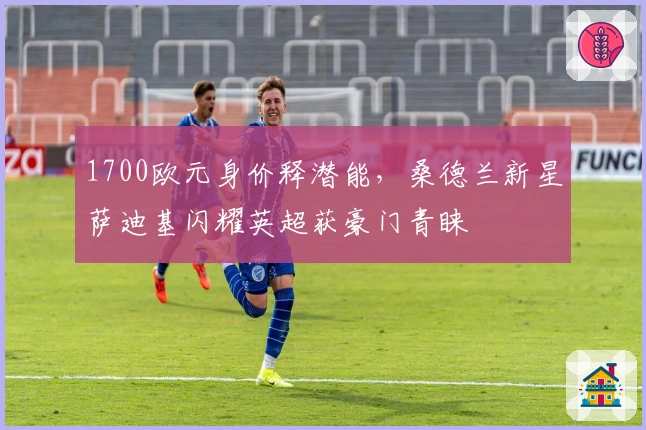 1700欧元身价释潜能，桑德兰新星萨迪基闪耀英超获豪门青睐