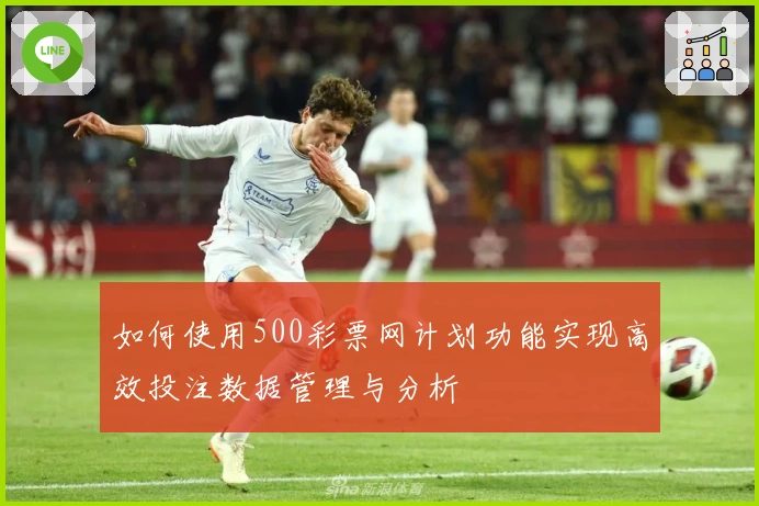 如何使用500彩票网计划功能实现高效投注数据管理与分析