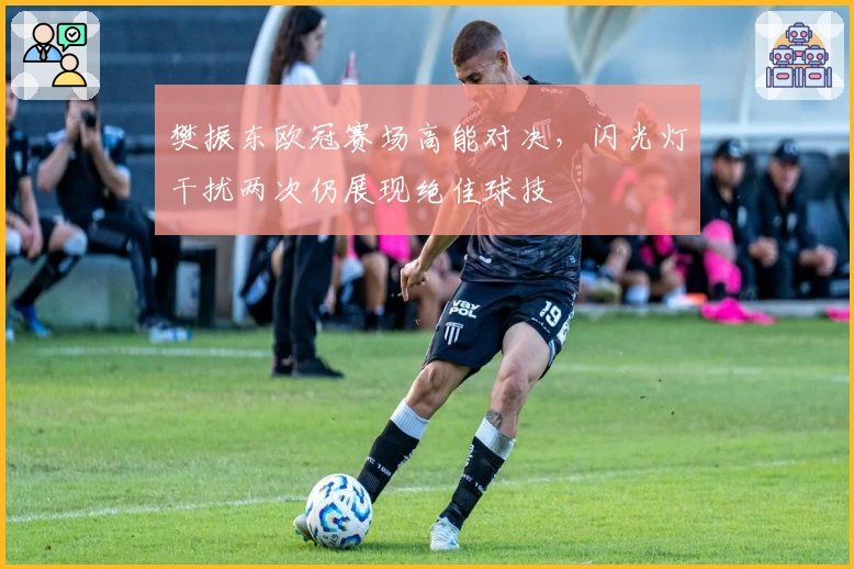 樊振东欧冠赛场高能对决，闪光灯干扰两次仍展现绝佳球技