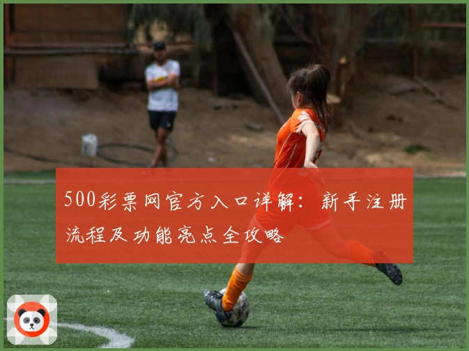 500彩票网官方入口详解：新手注册流程及功能亮点全攻略