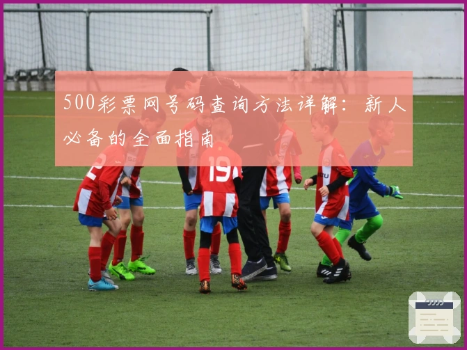 500彩票网号码查询方法详解：新人必备的全面指南