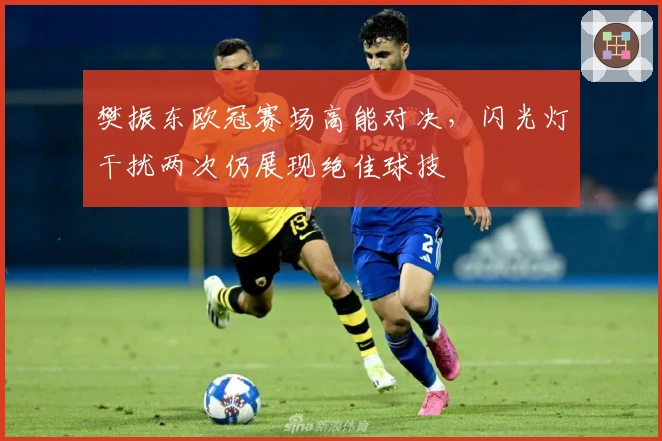 樊振东欧冠赛场高能对决，闪光灯干扰两次仍展现绝佳球技